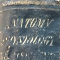 A Treatise on Anatomy, Physiology, & Hygiene