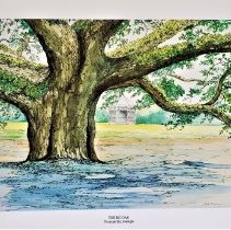 Scenes of Thomasville, Georgia: The Big Oak
