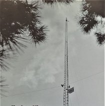 The Great Effort: Herbert L. Stoddard and the WCTV Tower Study