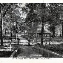 Williamston Mineral Spring | Williamston, South Carolina