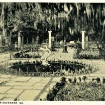 Wormsloe Plantation | Savannah, Georgia