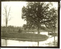Artersian Lake  Swan Island
