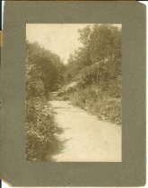 Lillian Dell's Drive