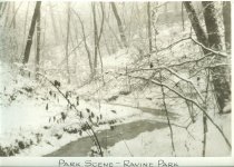 Park Scene - Ravine Park