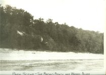 Park Scene - The Broad Bach and Wooded Bluff