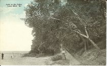 Postcard #250  Path to the Lake