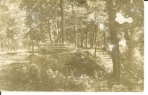 Postcard #84  Down to the Lake