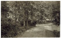 Drive leading to Arden shore