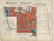 Ravine Forest subdivision