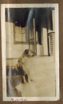 Geraghty Family Album