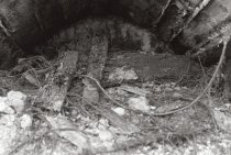 Beach N S Sanitary Building