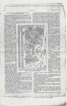 The story as told by tracks in the snow