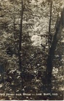 Wood foot bridge over a ravine