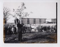 Planting a new "Trail Tree"