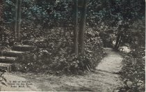 A Bit of Nature, Scene on the Trail