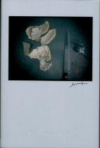 FAUSTINUS DERAET
Cuchara, Cuchillo y Cáscara Naranjas