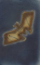 Jsc_2020.2.13.3_francisco_toledo_f.lr