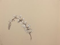 Jsc_2020.2.26.4_f.lr