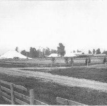 Annual meeting Brethren Church 1881 main tents