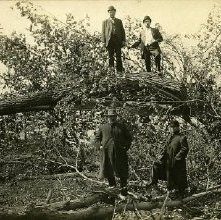 Effects of cyclone-Sunday, May 29, 1910.