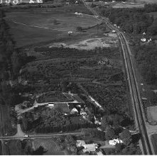 Aerial view Quinn Nursery, Route 42, Ashland Ohio taken May 16, 1958.