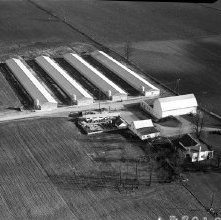 Aerial view Ashland QualityEgg Farm, Ashland, Ohio taken December 7, 1963.