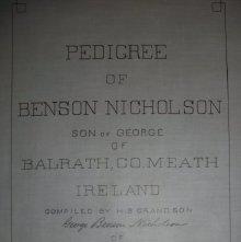 Pedigree of Benson Nicholson 1897
