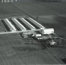 Aerial view Ashland Quality Egg Farm, route 42 South, Ashland, Ohio taken D