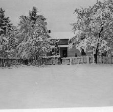 Photograph 13, by Lloyd Snyder, ca. 1910, Snyder Farm, [rear ?] Ashland, OH