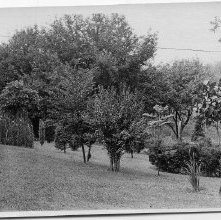 Photograph 15, by Lloyd Snyder, ca. 1910, Back yard of Snyder farm, Ashland
