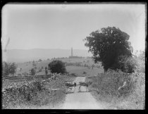 Road, distant mts, monument, Jule & donkey, photo by Alice Austen, 1890