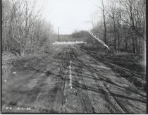 Colon Avenue at Arthur Kill Road, photo by Herbert A. Flamm, 1956