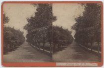 Clinton Av. N.B., photo by Isaac Almstaedt, ca. 1875-1885