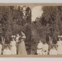 Stereograph