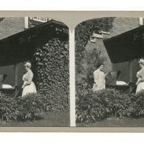 Stereoview