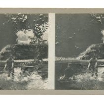 Stereoview