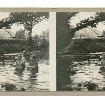 Stereoview