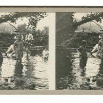 Stereoview