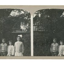 Stereoview