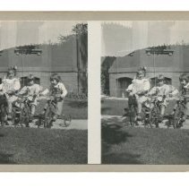 Stereoview