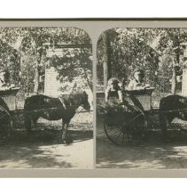 Stereoview