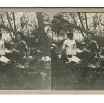 Stereoview