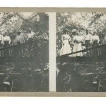 Stereoview