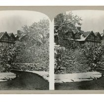 Stereoview