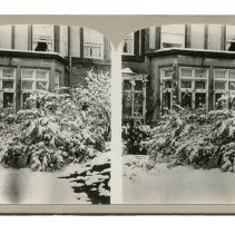 Stereoview