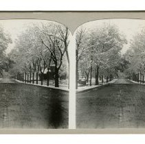 Stereoview