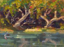 Reflections in the Concho