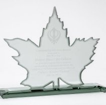 Community Service Award