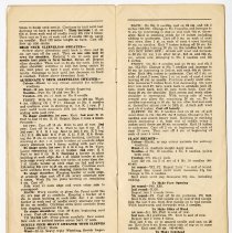 F2009_22_1page10and11