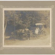 Carriage at Spring on Springbank Road